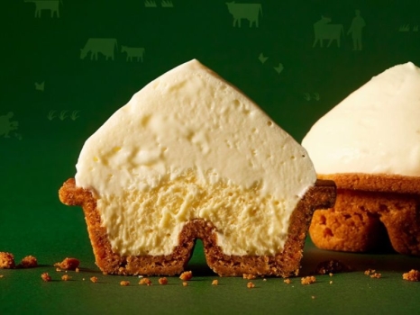 CHEESE WONDER　チーズワンダー