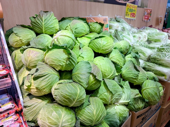 ロピア 長浜店　キャベツ