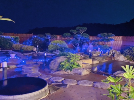 まむしの湯　ライトアップ