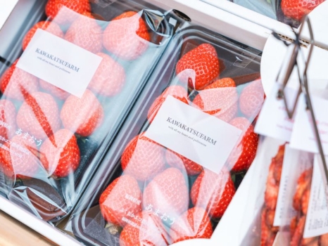 2026年2月18日～23日、福岡市のJR博多駅前広場で開催『KYUSHU LOVERS MARKET』