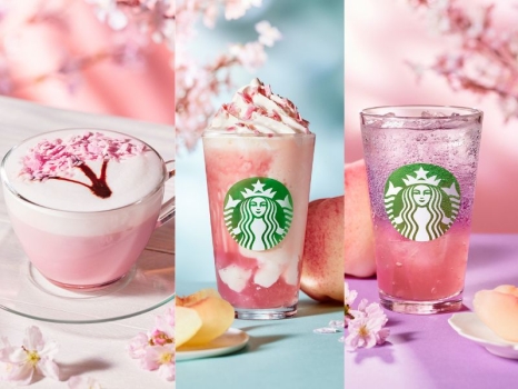 スターバックス　SAKURAビバレッジ