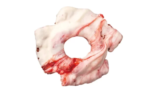 ジャックインザドーナツ　濃厚いちごミルクチョコファッション