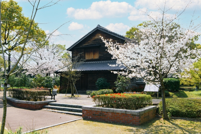 石橋文化センター　桜並木
