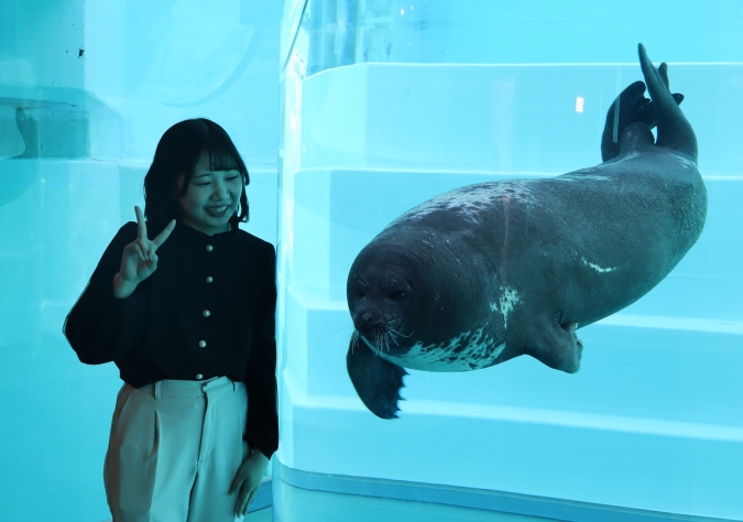 マリンワールド海の中道／かいじゅうアイランド・アザラシ記念撮影