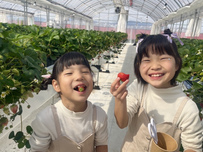 UluuGardensSAGA(うるうガーデンズ佐賀)いちご狩り