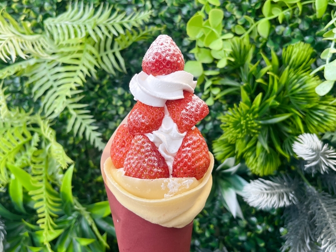 UluuGardensSAGA(うるうガーデンズ佐賀)いちごマウンテン