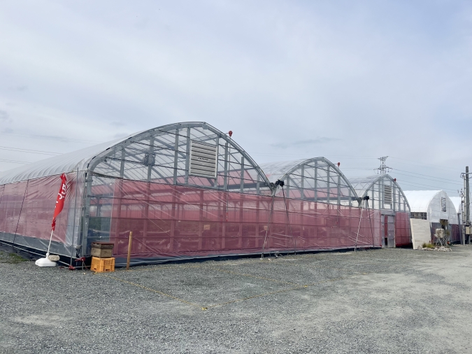 UluuGardensSAGA(うるうガーデンズ佐賀)外観