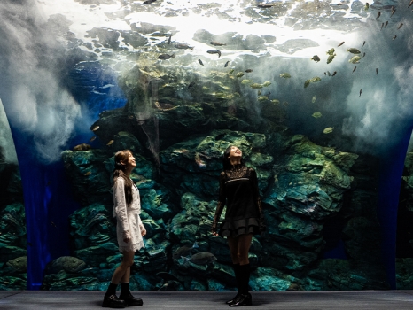 マリンワールド