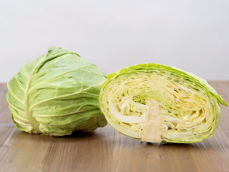 キャベツ　保存方法ガイド