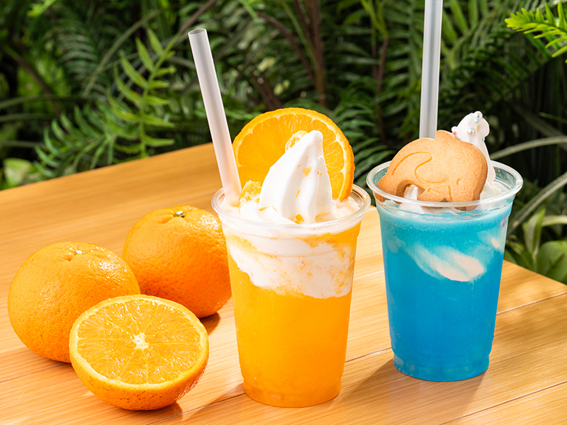 マリンワールド海の中道/3月17日~奄美エリア新コーナー記念ドリンク