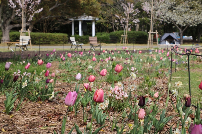 海の中道フラワーピクニック2026　ペレニアルガーデン