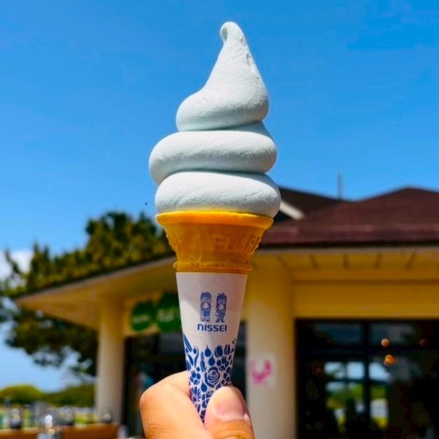 海の中道フラワーピクニック2026　ネモフィラソフト