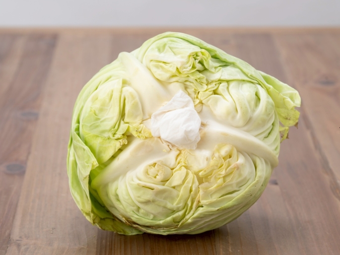 キャベツ　芯　保存方法