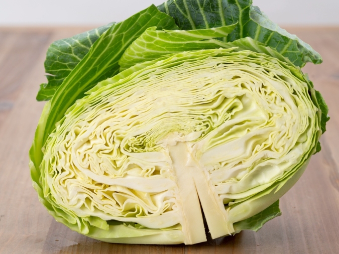 キャベツ　保存方法ガイド