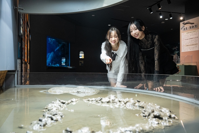 マリンワールド海の中道／九州の近海