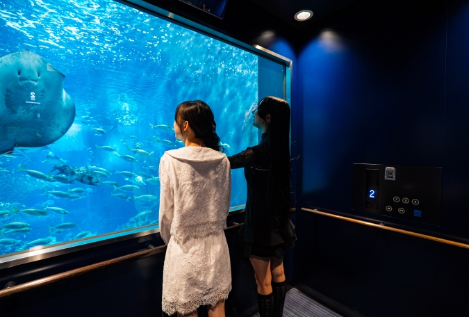マリンワールド海の中道／外洋大水槽・シースルーエレベーター