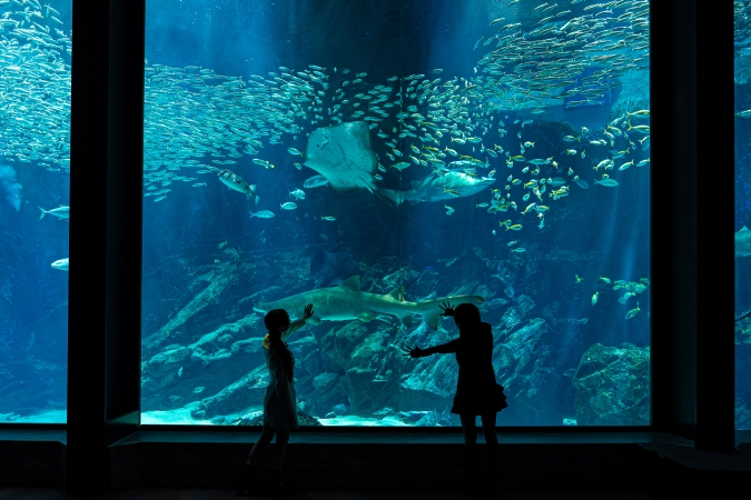 マリンワールド海の中道