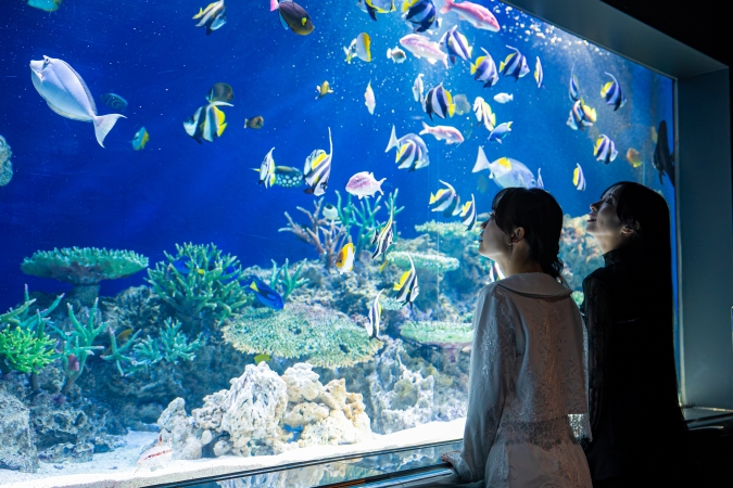 マリンワールド海の中道／奄美の森と海ゾーン・サンゴ礁＆魚