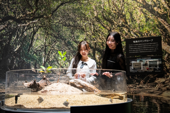 マリンワールド海の中道／奄美の海と森ゾーン