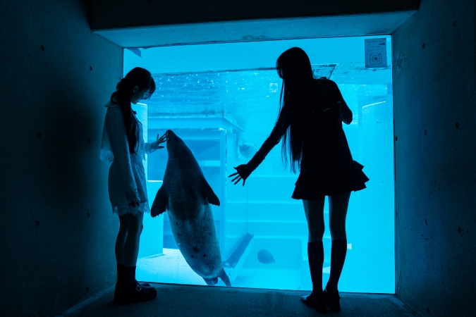 マリンワールド海の中道／かいじゅうアイランド