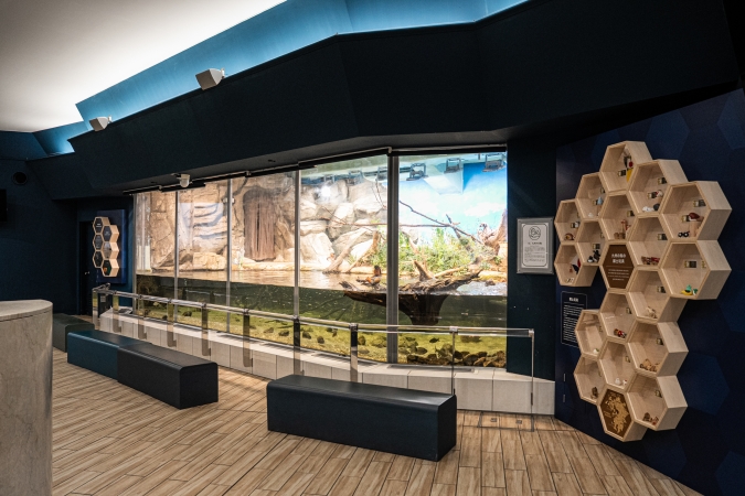 マリンワールド海の中道／九州の水鳥ゾーン