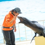 マリンワールド海の中道／アシカショー