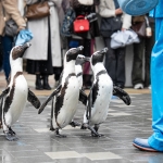 マリンワールド海の中道／かいじゅうアイランド・ペンギンパレード