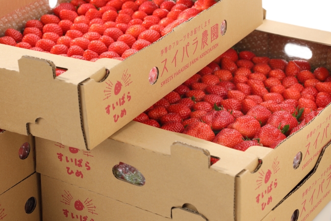 スイーツパラダイスブランドいちご食べ放題　アールスメロン登場」／いちごイメージ