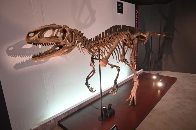 フクイラプトル　大恐竜展 ～「フクイ」から探る獣脚類の進化～