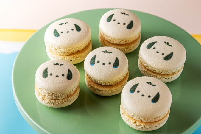 「Come travel with us~はぴだんぶいの福岡探検~」ポチャッコのマカロンラリー