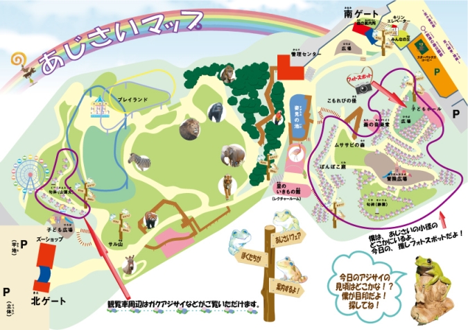 到津の森公園　あじさい