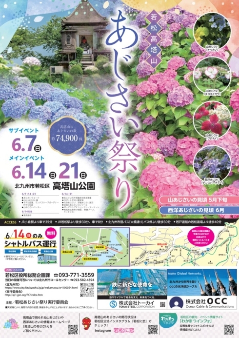 若松　あじさいまつり　高塔山公園