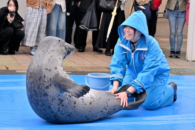 推しごとマリンワールド川名さん