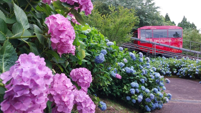 福岡あじさいスポット　英彦山花園