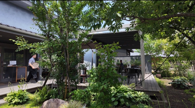 坂の下の店 木々