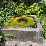 なみ満　井戸