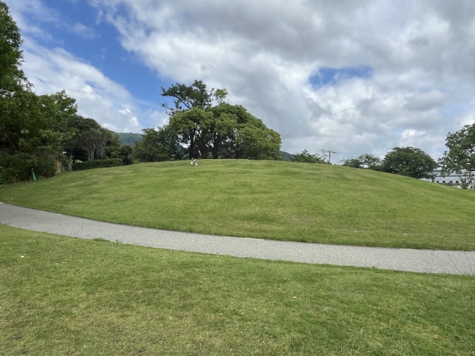 西部運動公園 ビオトープ丘