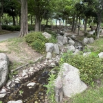西部運動公園 ビオトープ川