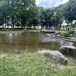西部運動公園 ビオトープ池