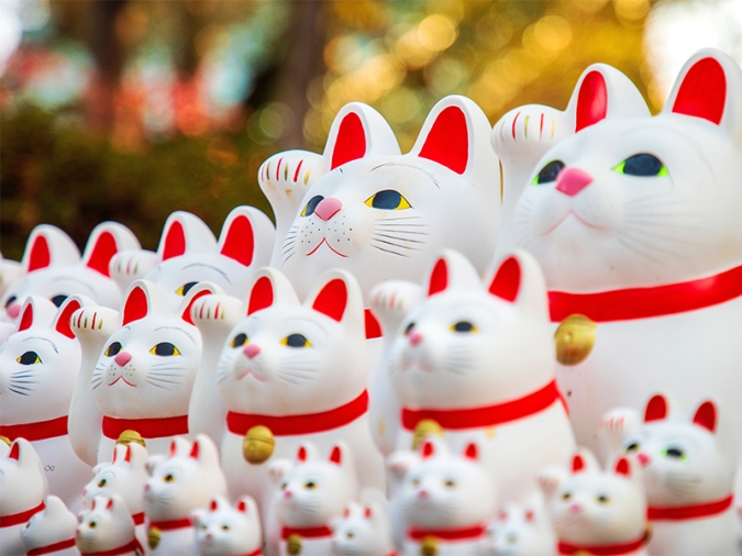 招き猫イメージ画像