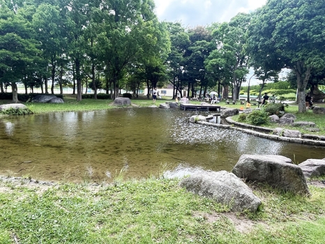 西部運動公園　ビオトープ池