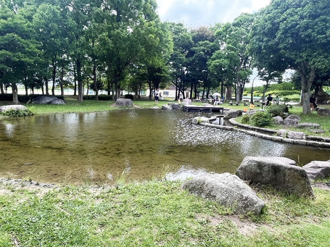 西部運動公園　ビオトープ池