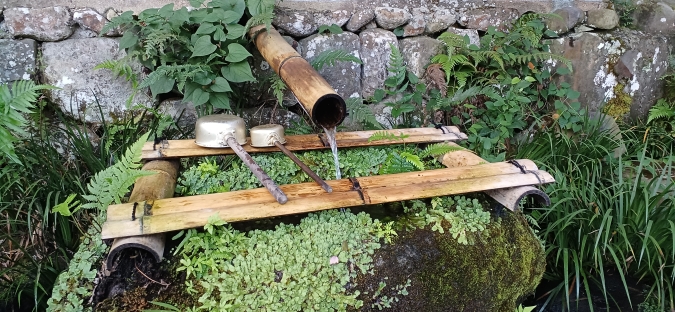 畑冷泉館　湧水２