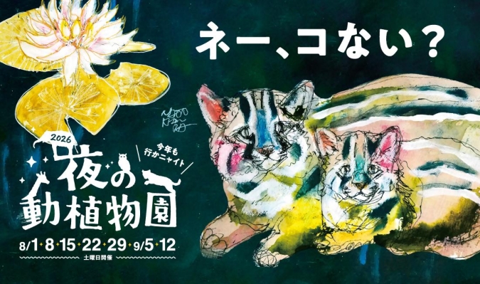 夜の動植物園2026／ポスター