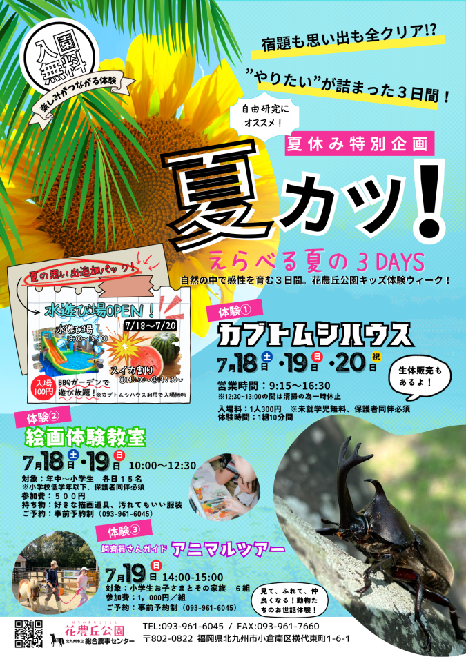 花農丘公園　夏カツ