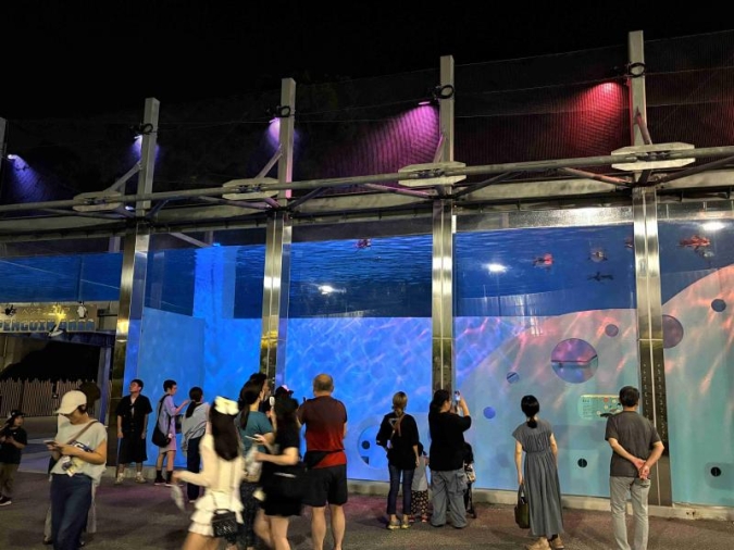 夜の動植物園2026／ペンギン水槽ライトアップ