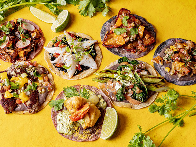 KYUSHU CRAFT TACOS—九州を旅する、7つのご当地タコス—