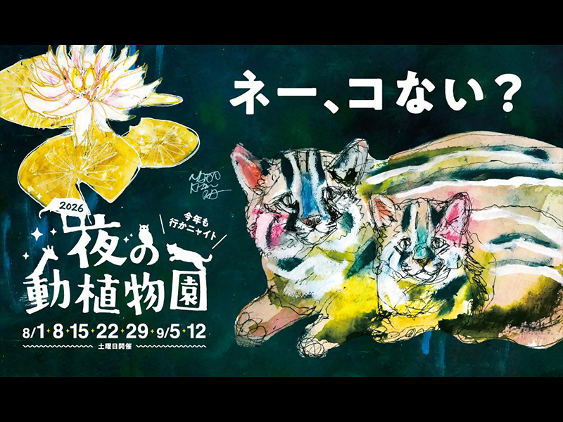 夜の動植物園2026／ポスター