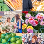 KYUSHU LOCAL EXPO 農産物