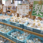 道の駅うきは　店内